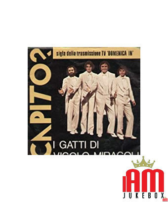 45 RPM RECORD I GATTI DI VICOLO MIRACOLE ‎– VERSTEHEN? [product.brand] 1 - Shop I'm Jukebox 