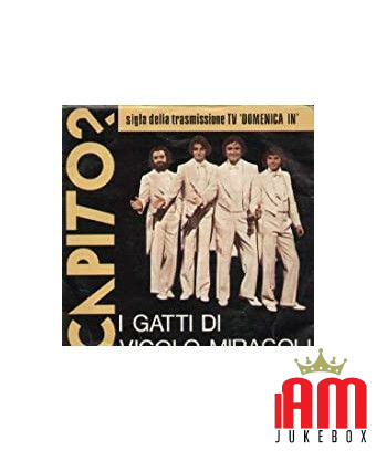 DISQUE 45 TOURS I GATTI DI VICOLO MIRACOLE ‎– COMPRENDRE ? [product.brand] 1 - Shop I'm Jukebox 