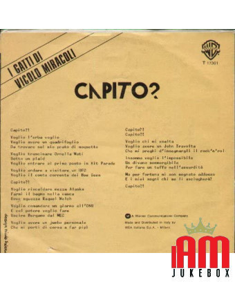 45 RPM RECORD I GATTI DI VICOLO MIRACOLE ‎– UNDERSTAND? [product.brand] 1 - Shop I'm Jukebox 