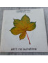 Ain't No Sunshine [Rodeo Jones,...] - Vinyl 7"
