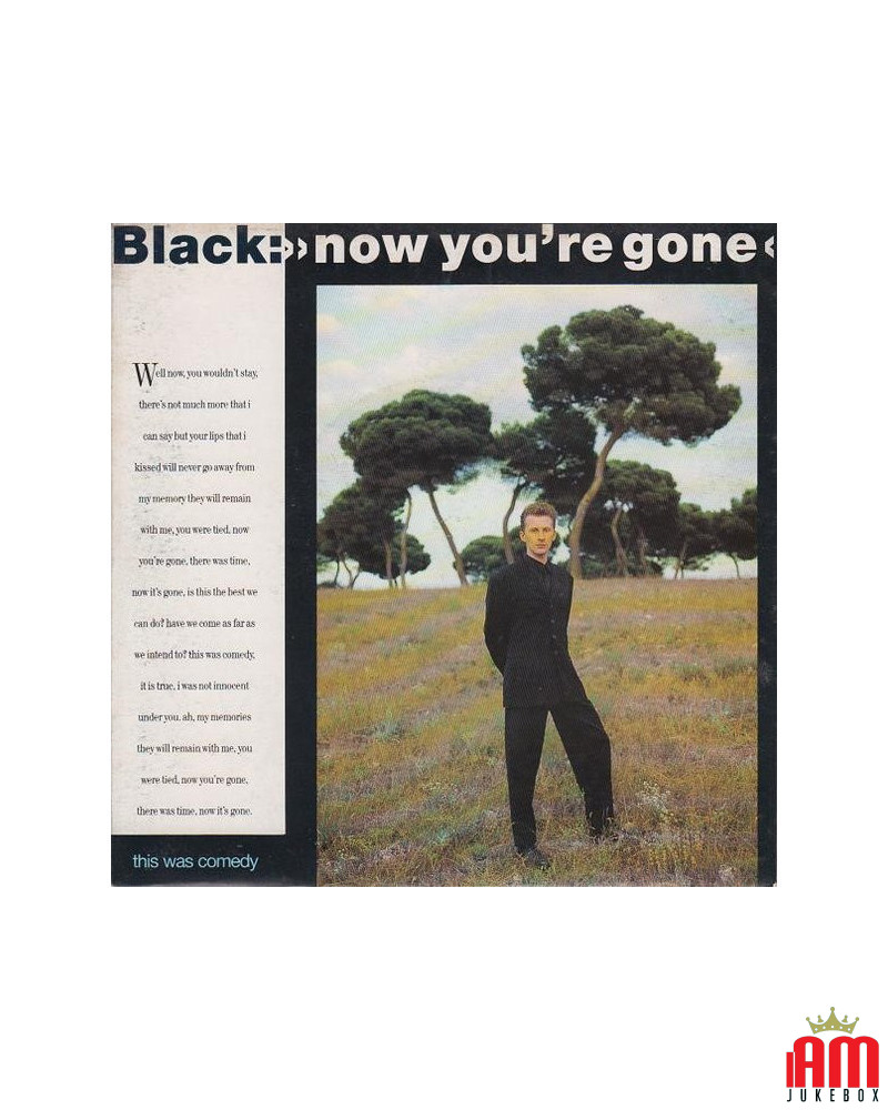 Now You're Gone [Black (2)] - Vinyl 7", 45 RPM, Single [product.brand] 1 - Shop I'm Jukebox 