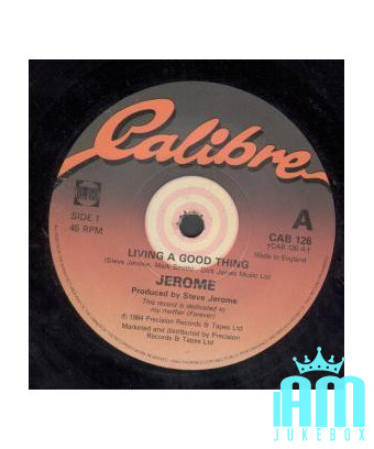 Living A Good Thing [Steve Jerome (2)] – Vinyl 12" [product.brand] 1 - Shop I'm Jukebox 