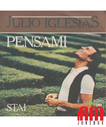 Pensami [Julio Iglesias] - Vinyl 7", 45 RPM [product.brand] 1 - Shop I'm Jukebox 