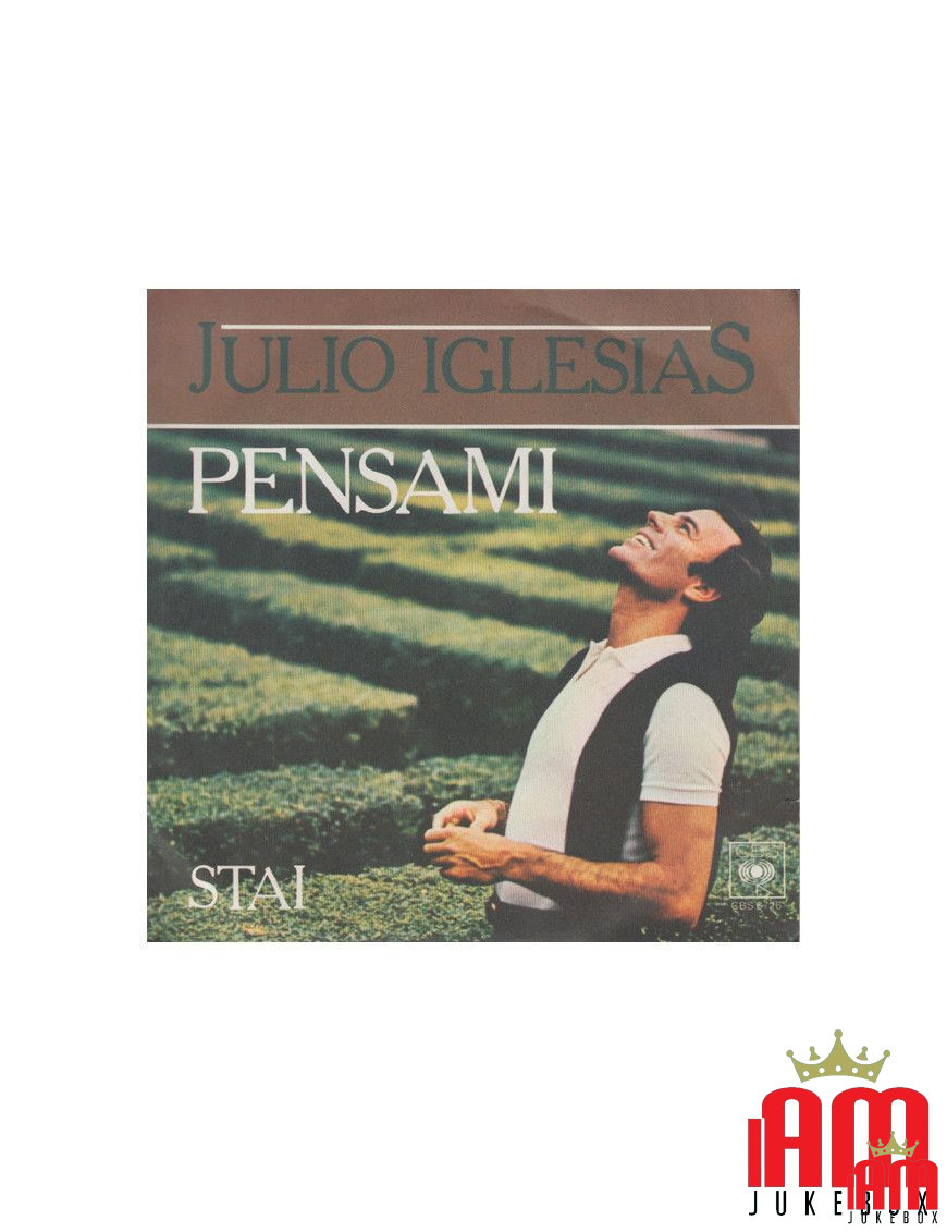 Pensez à moi [Julio Iglesias] - Vinyle 7", 45 tours [product.brand] 1 - Shop I'm Jukebox 