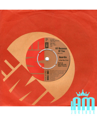 Tout à cause de toi [Geordie] - Vinyl 7", 45 RPM, Single [product.brand] 1 - Shop I'm Jukebox 