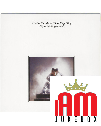 The Big Sky (Special Single Mix) [Kate Bush] - Vinyl 7", Single, 45 RPM [product.brand] 1 - Shop I'm Jukebox 