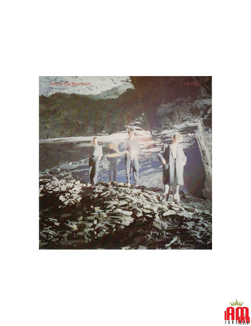 Silber [Echo & The Bunnymen] – Vinyl 7", 45 RPM, Single [product.brand] 1 - Shop I'm Jukebox 