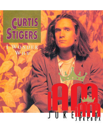 I Wonder Why [Curtis Stigers] – Vinyl 7", 45 RPM, Single, Stereo [product.brand] 1 - Shop I'm Jukebox 