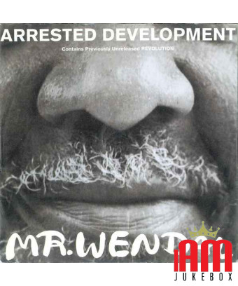 Mr Wendal [Arrested Development] - Vinyle 7", Single, 45 tours