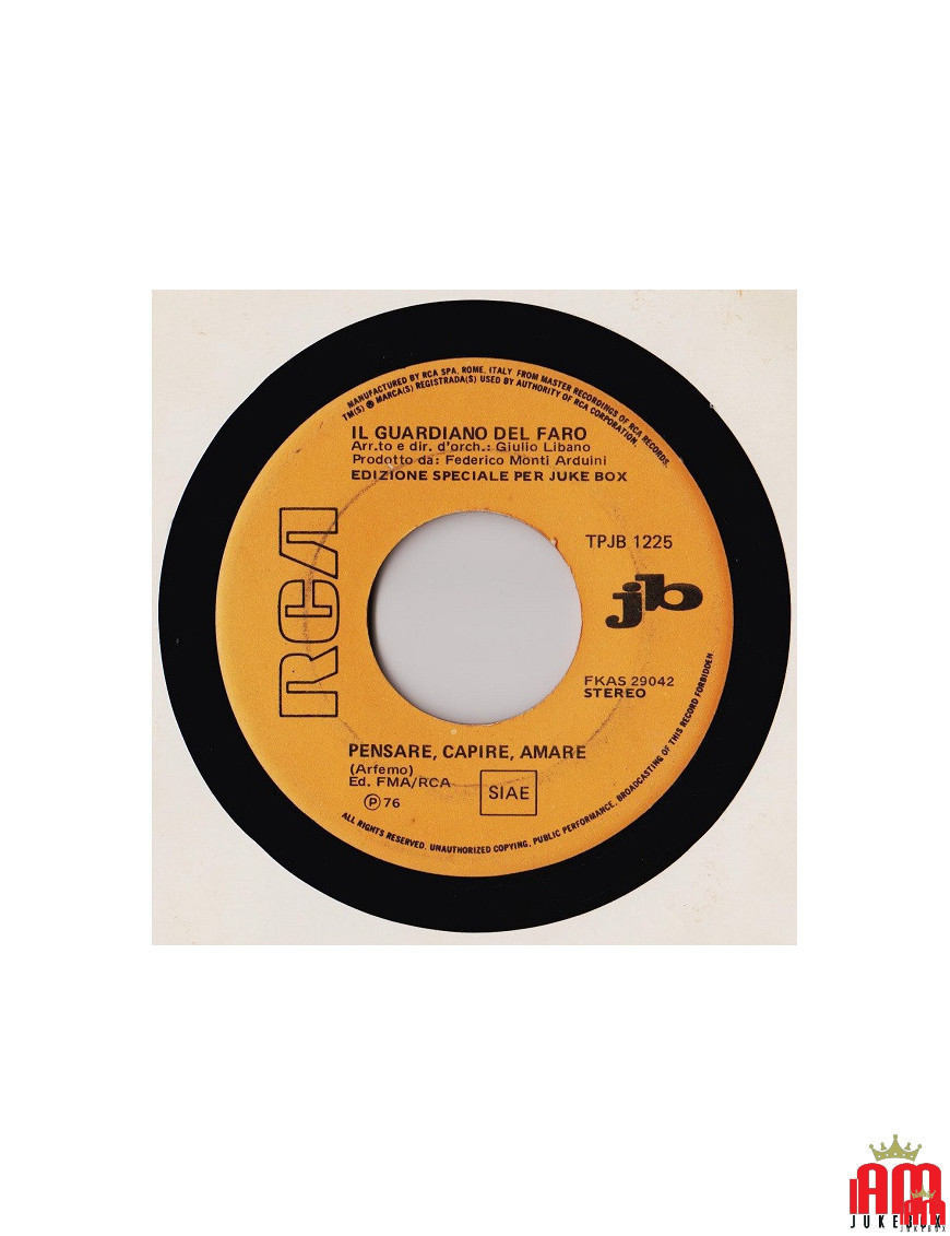  Thinking, Understanding, Loving What You Want It To Be...If I've Waited For You So Long [Il Guardiano Del Faro,...] - Vinyl 7",