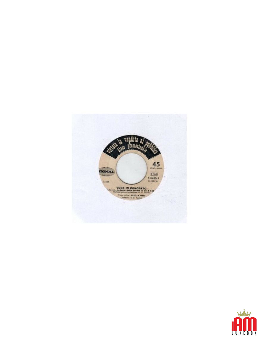 Voice In Concert Long And Lonesome Road [Gisella Fusi,...] – Vinyl 7", 45 RPM, Jukebox [product.brand] 1 - Shop I'm Jukebox 