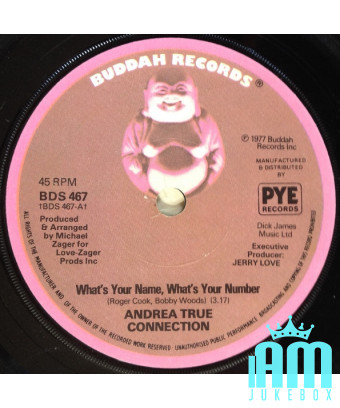 What's Your Name, What's Your Number [Andrea True Connection] – Vinyl 7", 45 RPM, Single [product.brand] 1 - Shop I'm Jukebox 