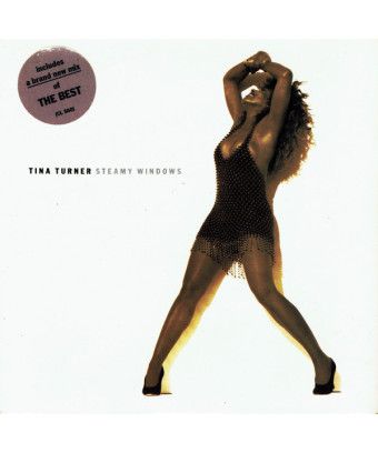 Steamy Windows [Tina Turner] - Vinyl 7", 45 RPM, Single, Stereo [product.brand] 1 - Shop I'm Jukebox 