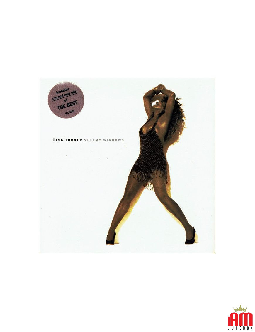 Steamy Windows [Tina Turner] - Vinyl 7", 45 RPM, Single, Stereo [product.brand] 1 - Shop I'm Jukebox 