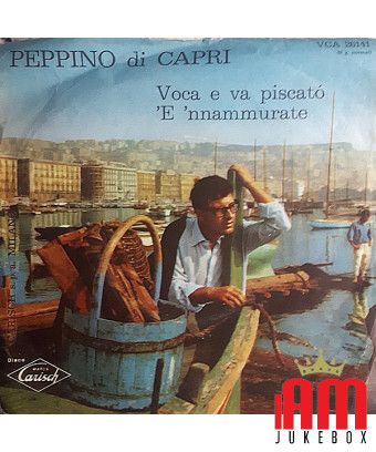 Voca E Va Piscató   'E 'Nnamurate [Peppino Di Capri E I Suoi Rockers] - Vinyl 7", 45 RPM