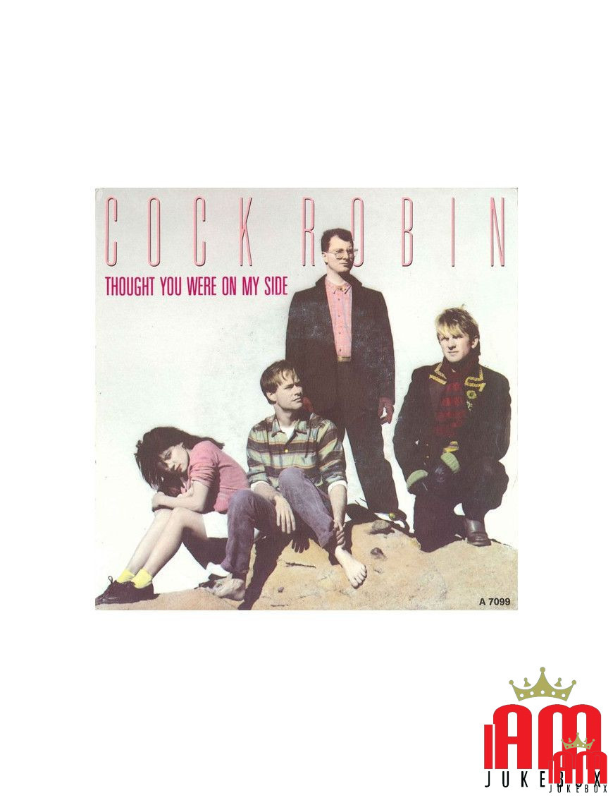 Dachte, du wärst auf meiner Seite [Cock Robin] – Vinyl 7", 45 RPM, Single, Stereo [product.brand] 1 - Shop I'm Jukebox 