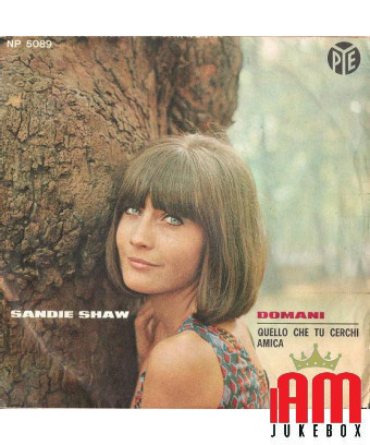Demain ce que tu cherches ami [Sandie Shaw] - Vinyl 7", 45 RPM, Single [product.brand] 1 - Shop I'm Jukebox 