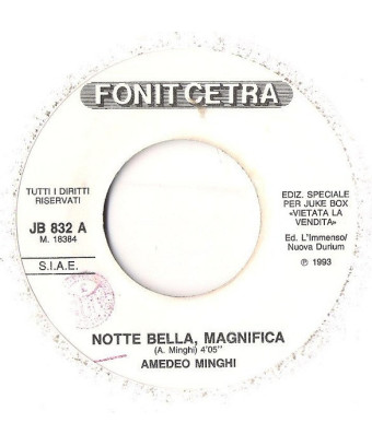 Notte Bella, Magnifica   In Te [Amedeo Minghi,...] - Vinyl 7", 45 RPM, Jukebox