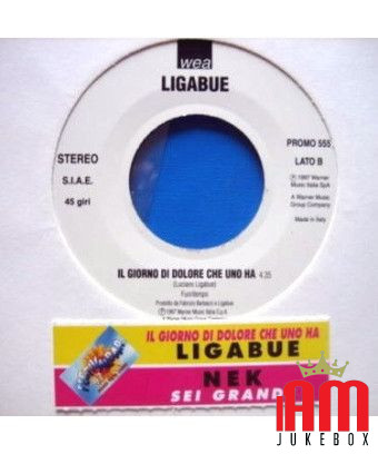 Sei Grande Il Giorno Di Dolore Che Uno Ha [Nek,...] - Vinyl 7", 45 RPM, Promo [product.brand] 1 - Shop I'm Jukebox 