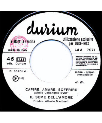 Capire, Amare, Soffrire   Love Sign [Il Seme Dell'Amore,...] - Vinyl 7", 45 RPM, Jukebox