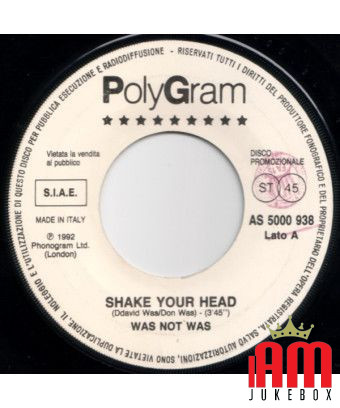 Shake Your Head   A Small Victory [Was (Not Was),...] - Vinyl 7", 45 RPM, Promo