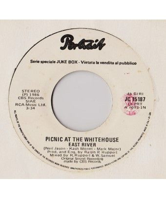 East River Prime Time T.V. [Picnic At The Whitehouse,...] - Vinyl 7", 45 RPM, Jukebox, Stereo [product.brand] 1 - Shop I'm Jukeb