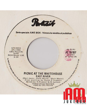 East River Prime Time TV [Picnic At The Whitehouse,...] - Vinyle 7", 45 RPM, Jukebox, Stéréo [product.brand] 1 - Shop I'm Jukebo