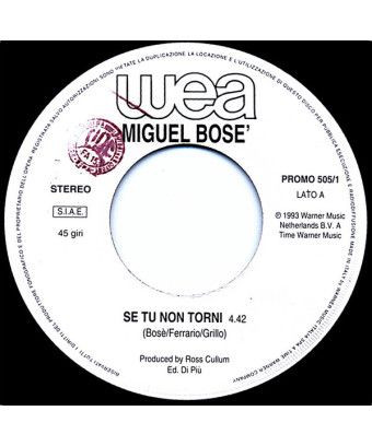 Se Tu Non Torni    I'll Stand By You  [Miguel Bosé,...] - Vinyl 7", 45 RPM, Promo