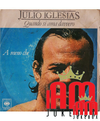 When You Really Love Unless [Julio Iglesias] - Vinyl 7", 45 RPM, Single [product.brand] 1 - Shop I'm Jukebox 