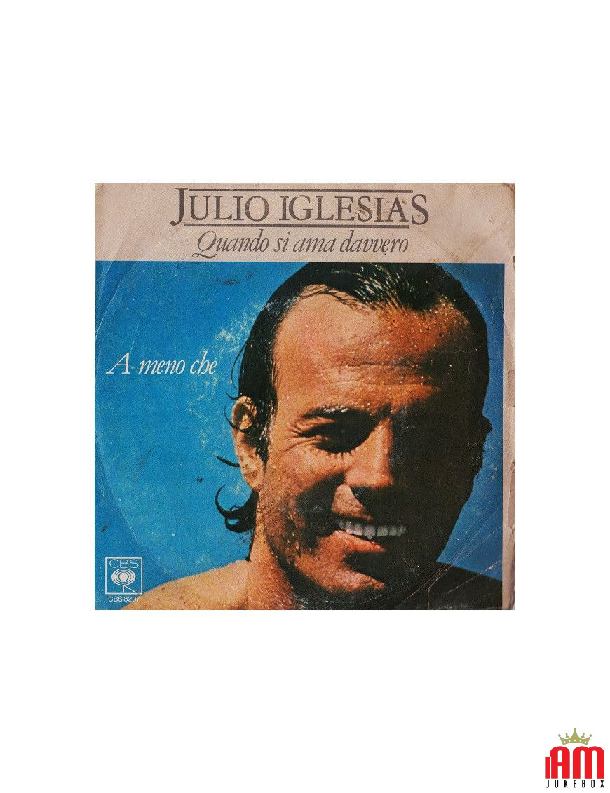 Quando Si Ama Davvero   A Meno Che [Julio Iglesias] - Vinyl 7", 45 RPM, Single