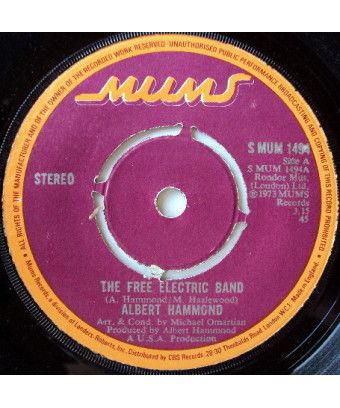 The Free Electric Band [Albert Hammond] – Vinyl 7", 45 RPM, Single, Stereo [product.brand] 1 - Shop I'm Jukebox 