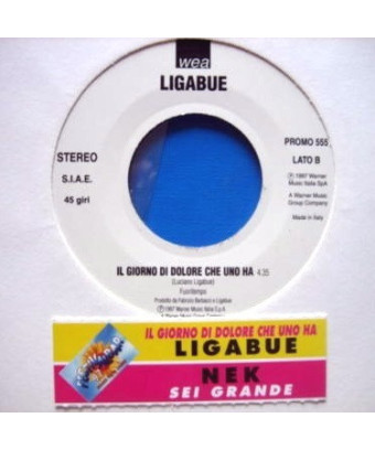 Sei Grande   Il Giorno Di Dolore Che Uno Ha [Nek,...] - Vinyl 7", 45 RPM, Promo