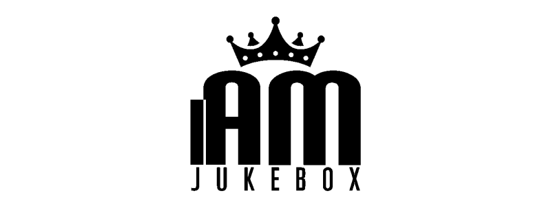 KIT de nettoyage de vinyle de luxe : SPRAY LIQUIDE + DOUBLE BROSSE + CHIFFON MICROFIBRE [product.brand] 1 - Shop I'm Jukebox 
