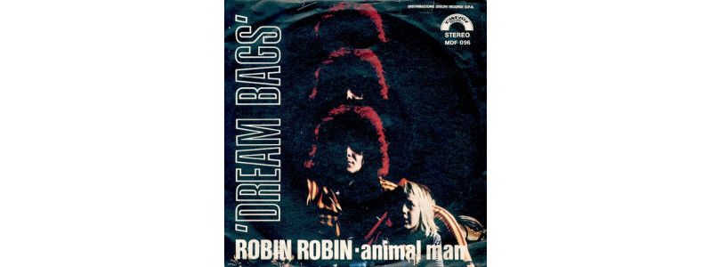 Robin Robin [Dream Bags] - Vinyl 7", 45 RPM [product.brand] 1 - Shop I'm Jukebox 