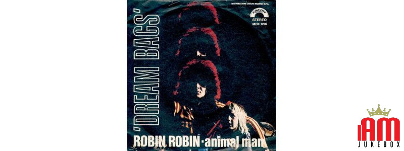 Robin Robin [Dream Bags] - Vinyle 7", 45 tours [product.brand] 1 - Shop I'm Jukebox 