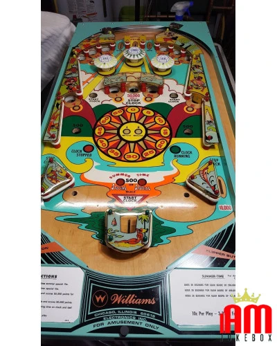 Summer Time Williams Pinball Flipper William Williams Condition: seen and liked [product.supplier] 1 Summer Time Williams Pinbal
