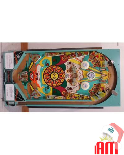 Italiano (Italian) Williams Summer Time Williams Pinball 1 Flipper williams 1 Shop I'm Jukebox iamjukebox.it 