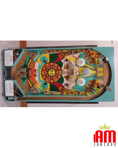 Summer Time Williams Pinball Flipper William Williams Condition: seen and liked [product.supplier] 1 Summer Time Williams Pinbal