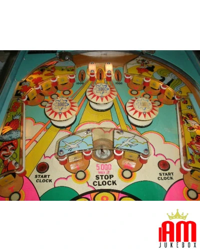 Summer Time Williams Pinball Flipper William Williams Condition: seen and liked [product.supplier] 1 Summer Time Williams Pinbal