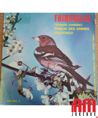 Finch [No Artist] – Vinyl 7", 45 RPM [product.brand] 1 - Shop I'm Jukebox 