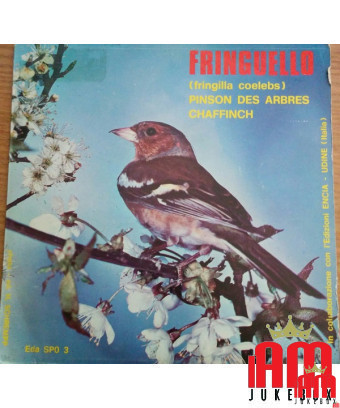 Finch [No Artist] – Vinyl 7", 45 RPM