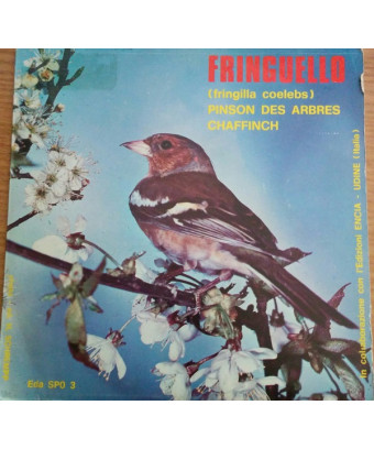 Fringuello [No Artist] - Vinyl 7", 45 RPM