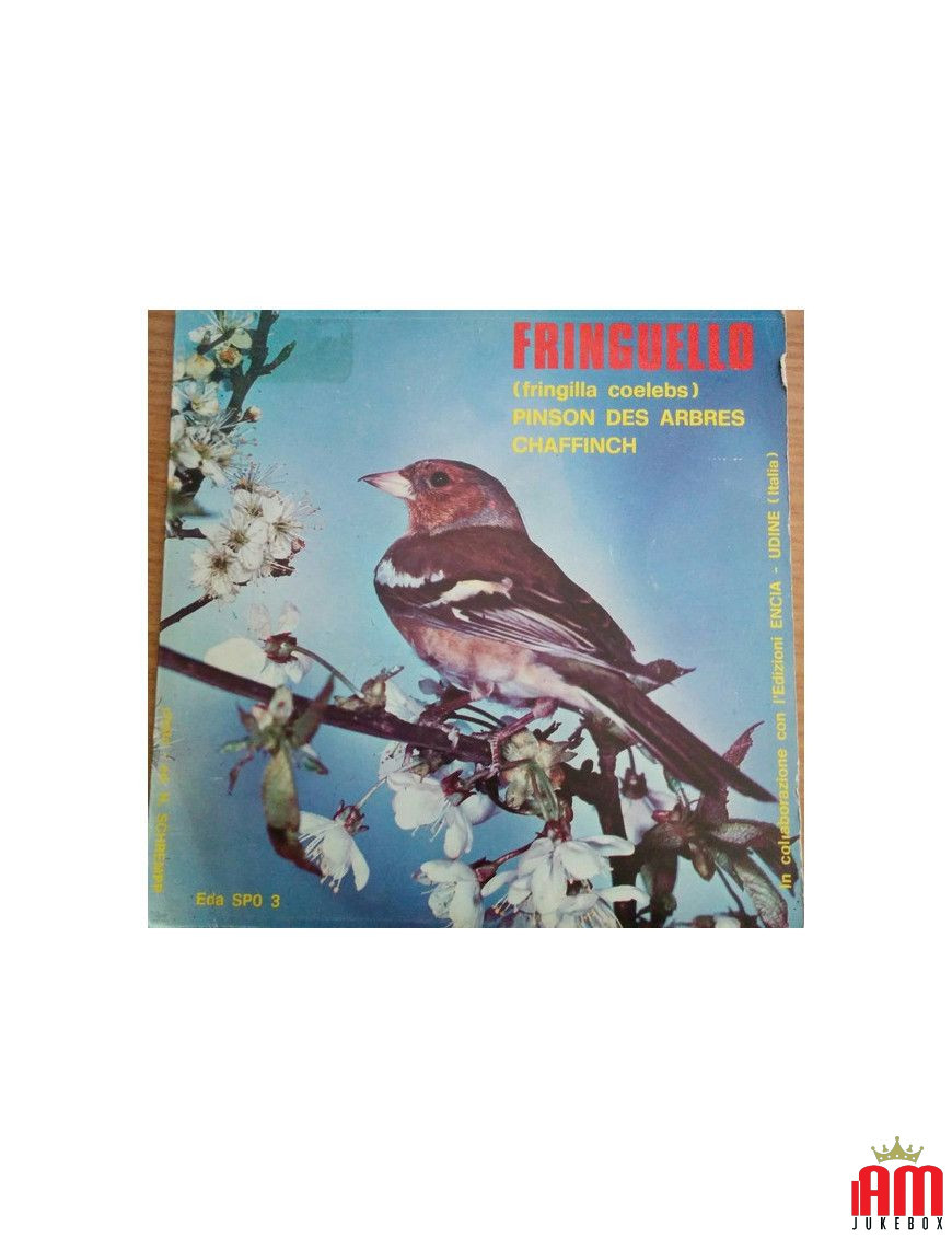 Finch [No Artist] – Vinyl 7", 45 RPM [product.brand] 1 - Shop I'm Jukebox 