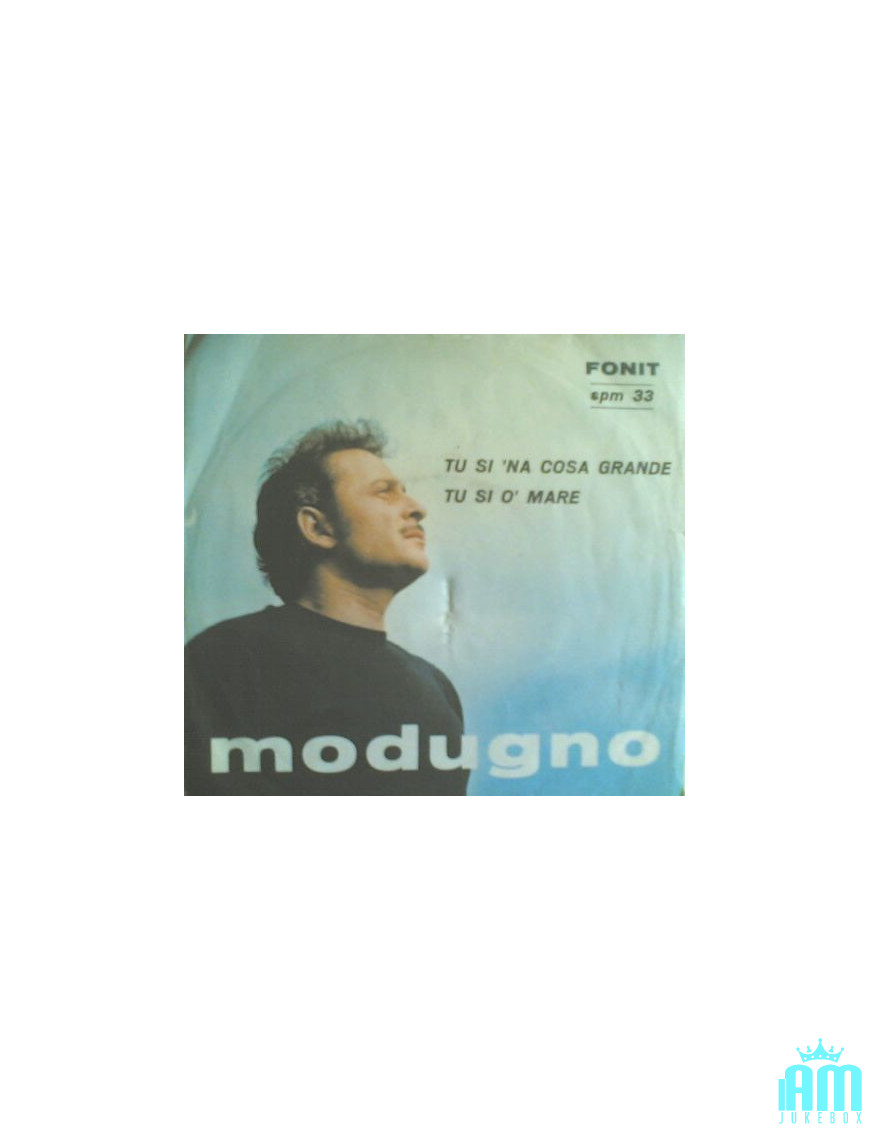 Tu Si 'Na Cosa Grande Tu Si 'O Mare [Domenico Modugno] – Vinyl 7", 45 RPM [product.brand] 1 - Shop I'm Jukebox 
