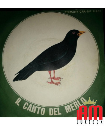 Il Canto Del Merlo [No Artist] – Vinyl 7", 45 RPM [product.brand] 1 - Shop I'm Jukebox 