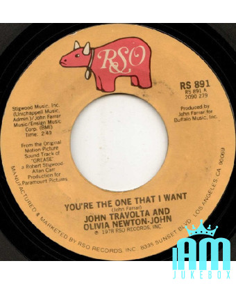 You're The One That I Want [John Travolta,...] - Vinyl 7", 45 RPM, Single, Styrene [product.brand] 1 - Shop I'm Jukebox 