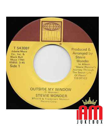 Outside My Window Same Old Story [Stevie Wonder] - Vinyl 7", 45 RPM [product.brand] 1 - Shop I'm Jukebox 