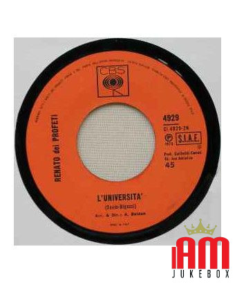 Lady Barbara [Renato Dei Profeti] - Vinyle 7", 45 tours [product.brand] 1 - Shop I'm Jukebox 