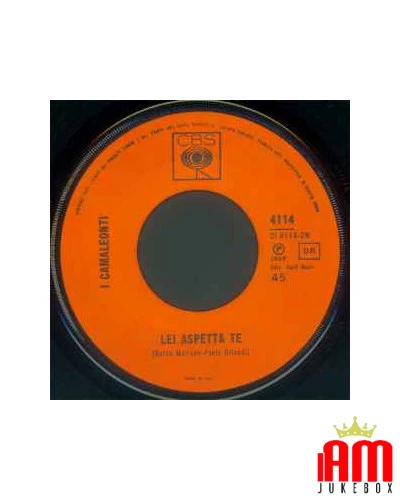 Italiano (Italian) [product.brand]1253251-2024-04-03-07-29-45 1 Vendita Vinili [product.weight]1 Shop I'm Jukebox iamjukebox.it 