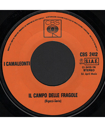 Il Campo Delle Fragole [I...